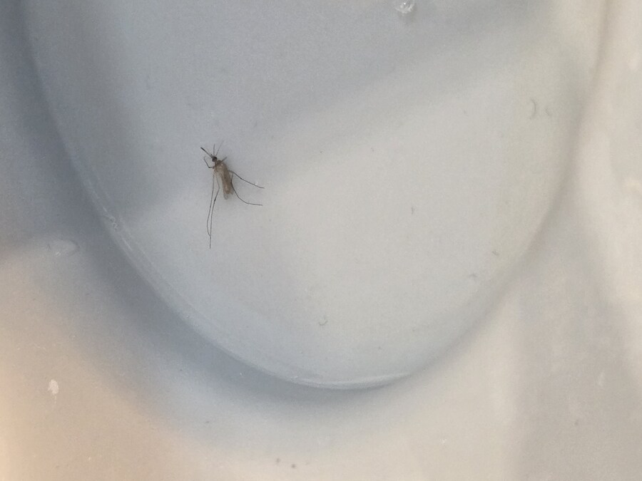 삼가고충에 액션빔 ㅅㄲㅇ_1.jpg