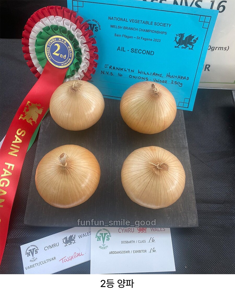 예쁜 야채 대회 수상작들.jpg_4.jpg