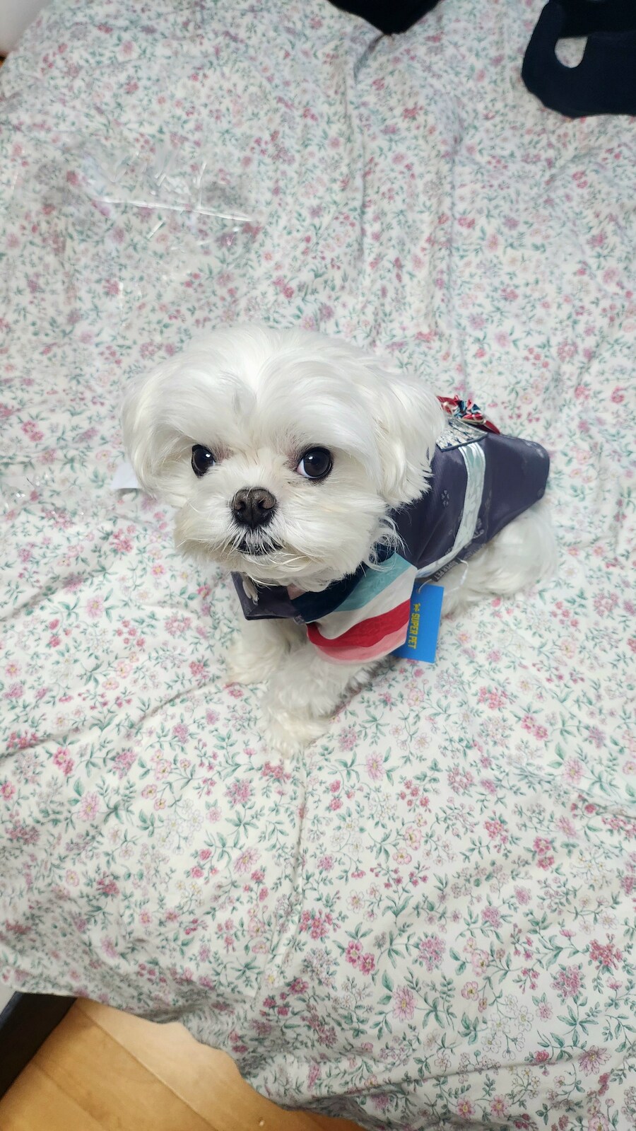 무슨무슨법 지키러왔습니다_2.jpg