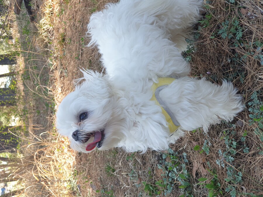 무슨무슨법 지키러왔습니다_9.jpg