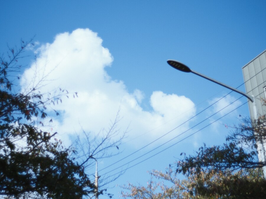 혼술의 시간_2.jpg