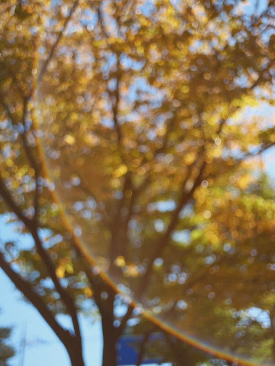 혼술의 시간_21.jpg