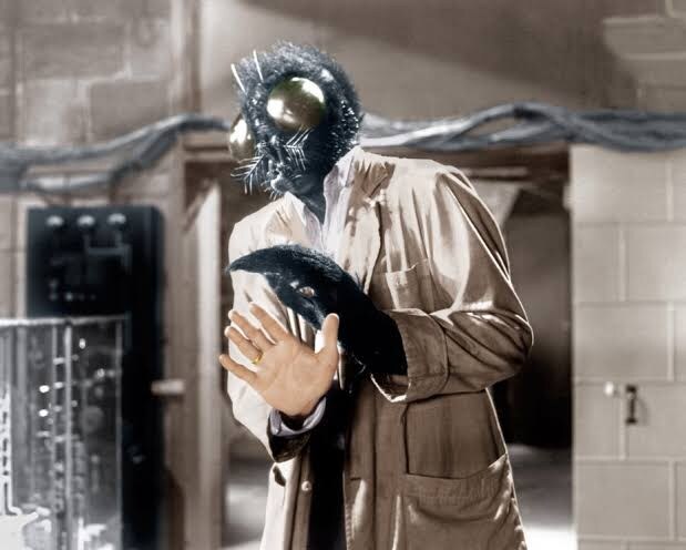 혐) 같은 소설 원작 영화지만 분위기가 극과극_1.jpg