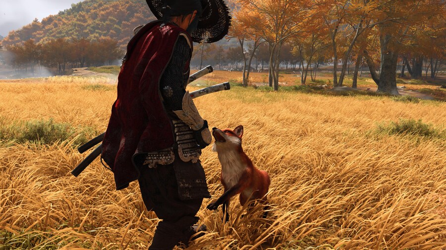 여우가 애교 부리네_4.jpg