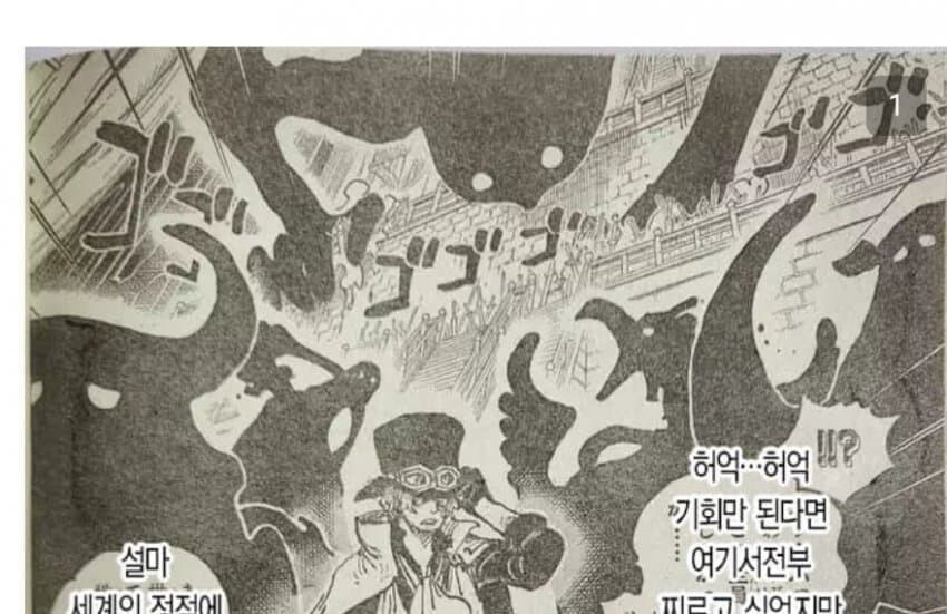 원피스 임의 정체_7.jpg