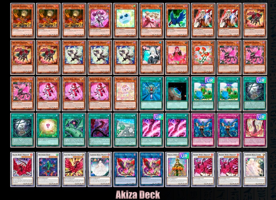 TCG) 블랙페더 & 로즈 드래곤 스트럭처 구성_2.jpg