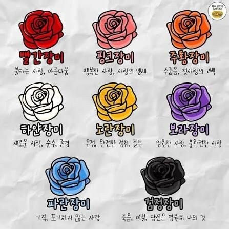 카제나) "검은 장미를 보러 가오."_2.jpg