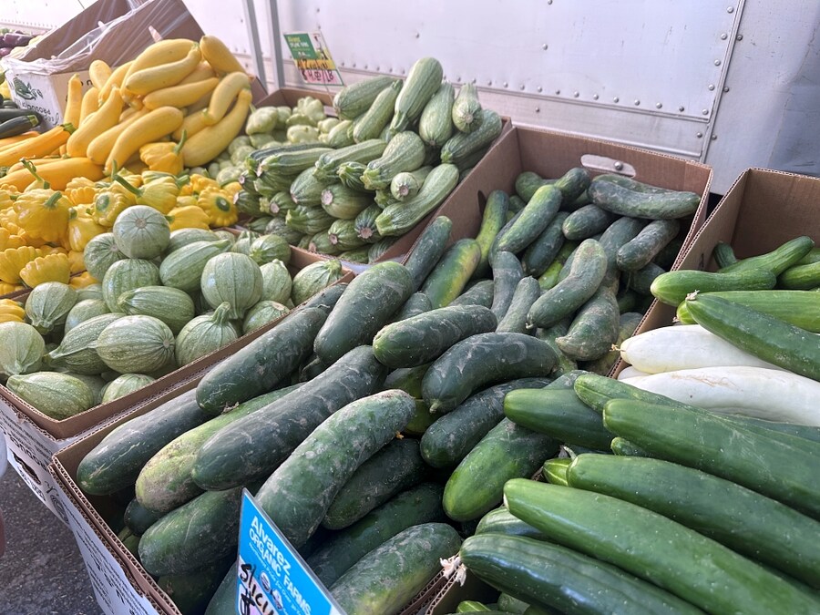 8월의 먹고살기_5.jpg