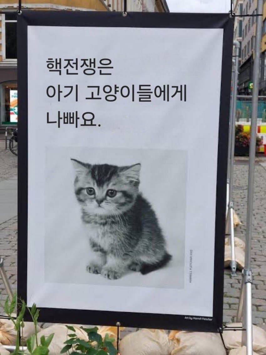 핵전쟁 하면 안되는 이유_1.jpg