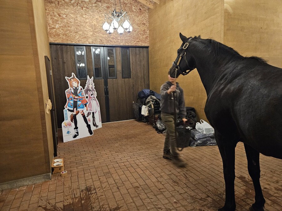 말딸,경마) 에이신 플래시 : 이사 온 목장에 이상한 아이들이 있다_2.jpg