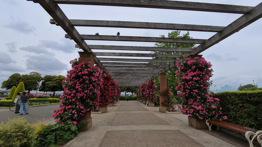 용과 같이 요코하마 성지 순례3 - 야마시타 공원_1.jpg