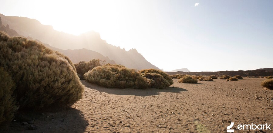 아크레이더스 신규 스크린샷_13.png