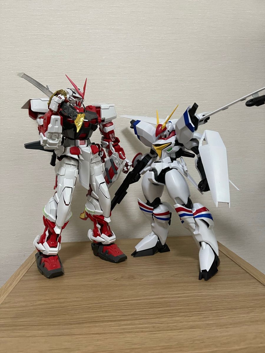 [맥스 팩토리] PLAMAX 드라고나 1 + PG 건프라 사이즈 비교 사진_2.jpg