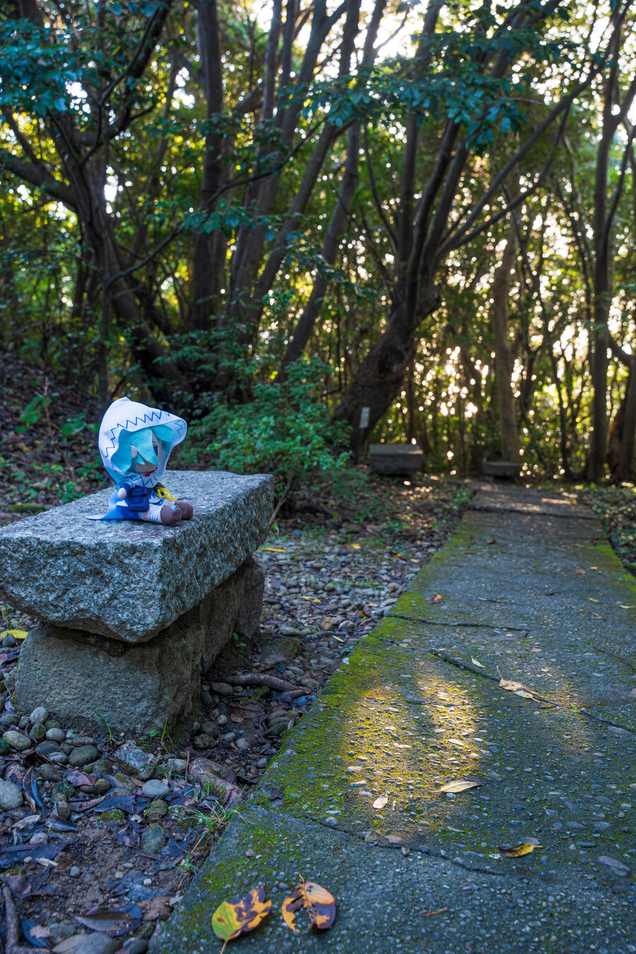 푸른 눈의 여친과의 갈때까지 '간사이' 여행_76.jpg