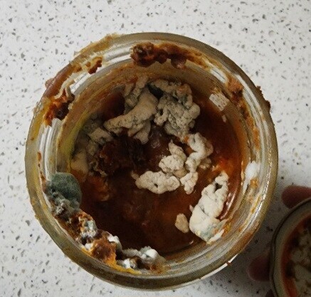 혐) 근데 진짜 먹음 어케 되려나_1.jpg