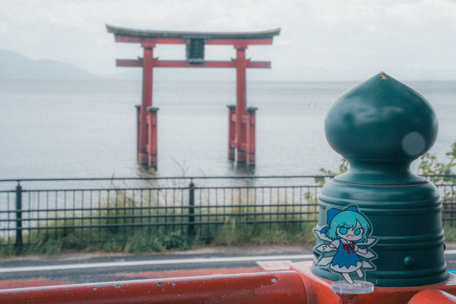 푸른 눈의 여친과의 갈때까지 '간사이' 여행_102.jpg