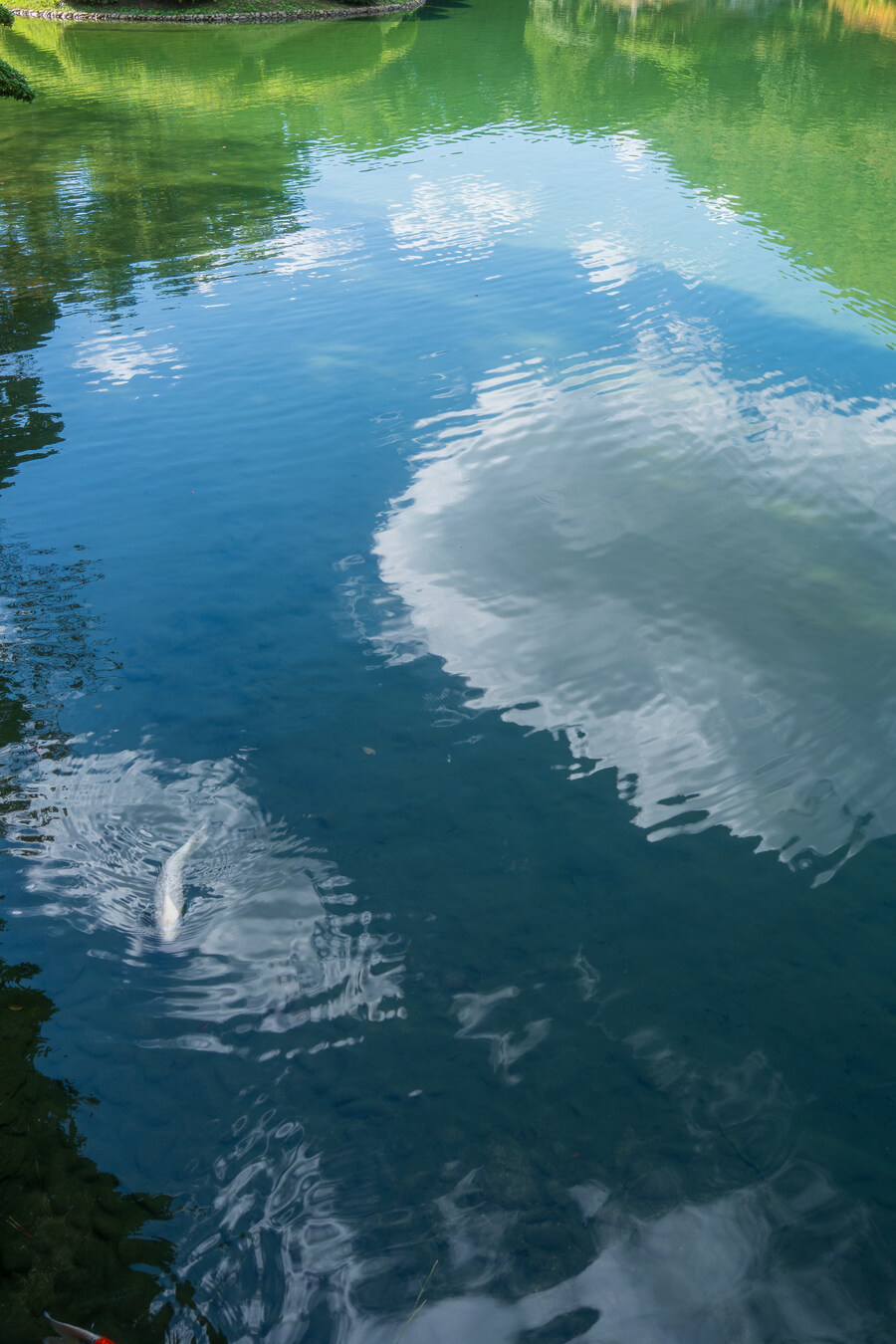 푸른 눈의 여친과의 갈때까지 '간사이' 여행_122.jpg