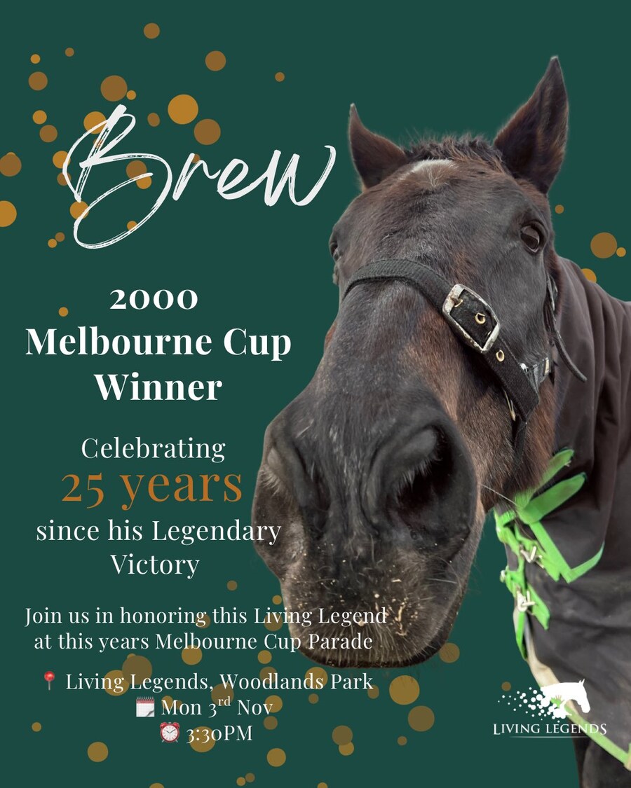 경마, 말딸 혈통) 31세 멜버른컵 최고령 생존마의 모마._1.jpg