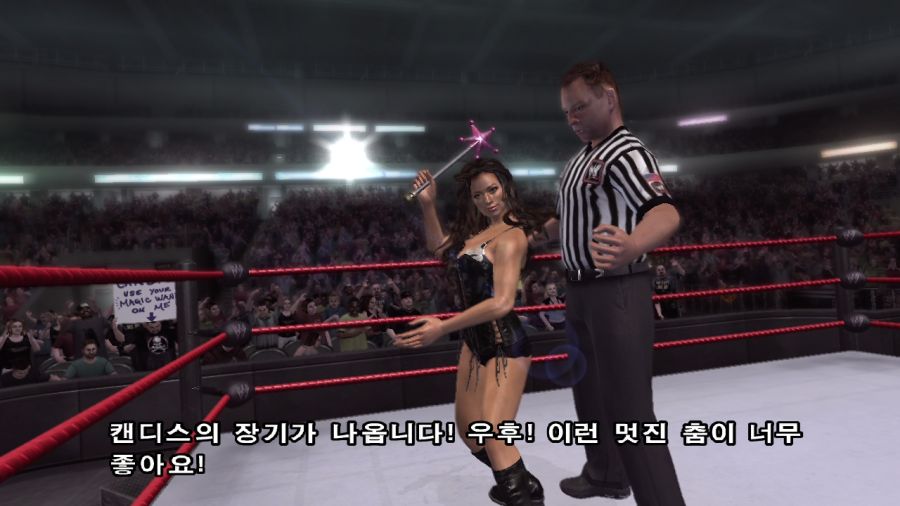 WWE 스맥다운vs로우 2007_1.jpg