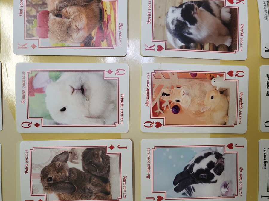 와 리노아님이랑 똑같은 것 같아요!_1.jpg