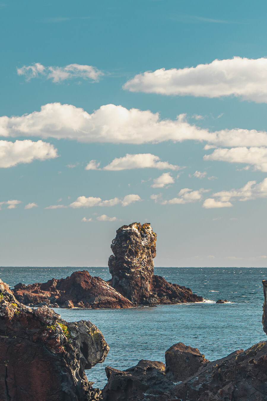 (스압)제주도 댕겨왓습니당_13.jpg