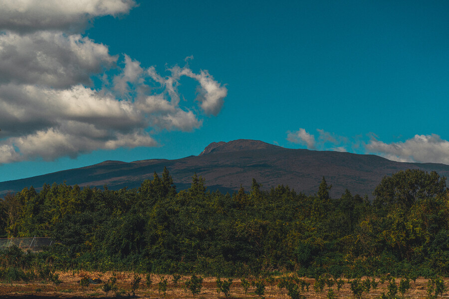 (스압)제주도 댕겨왓습니당_21.jpg