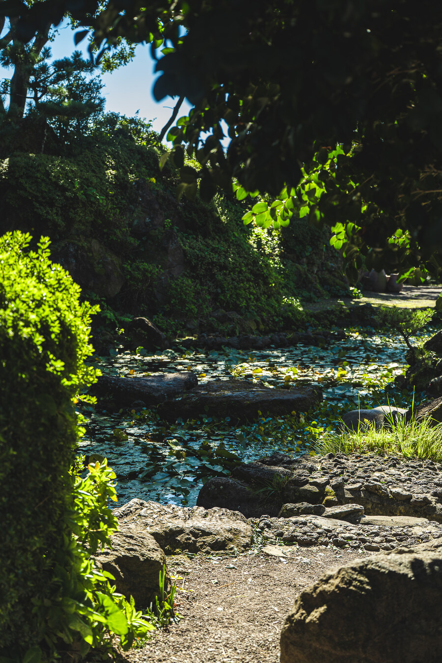 (스압)제주도 댕겨왓습니당_26.jpg