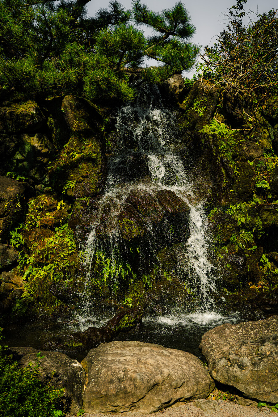 (스압)제주도 댕겨왓습니당_29.jpg