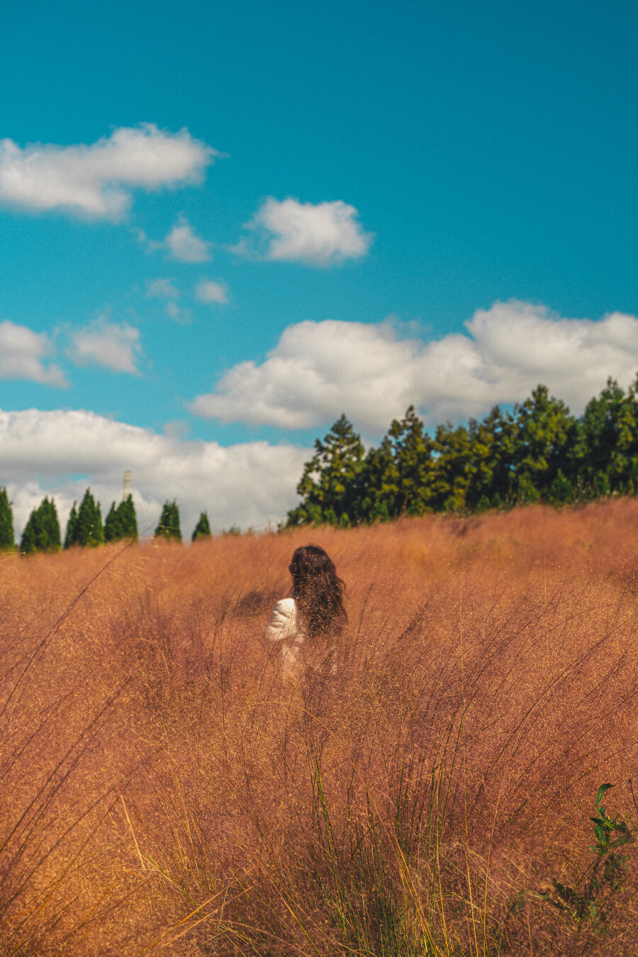 (스압)제주도 댕겨왓습니당_30.jpg