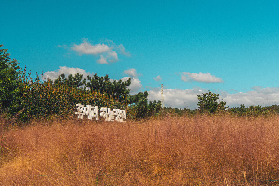 (스압)제주도 댕겨왓습니당_31.jpg