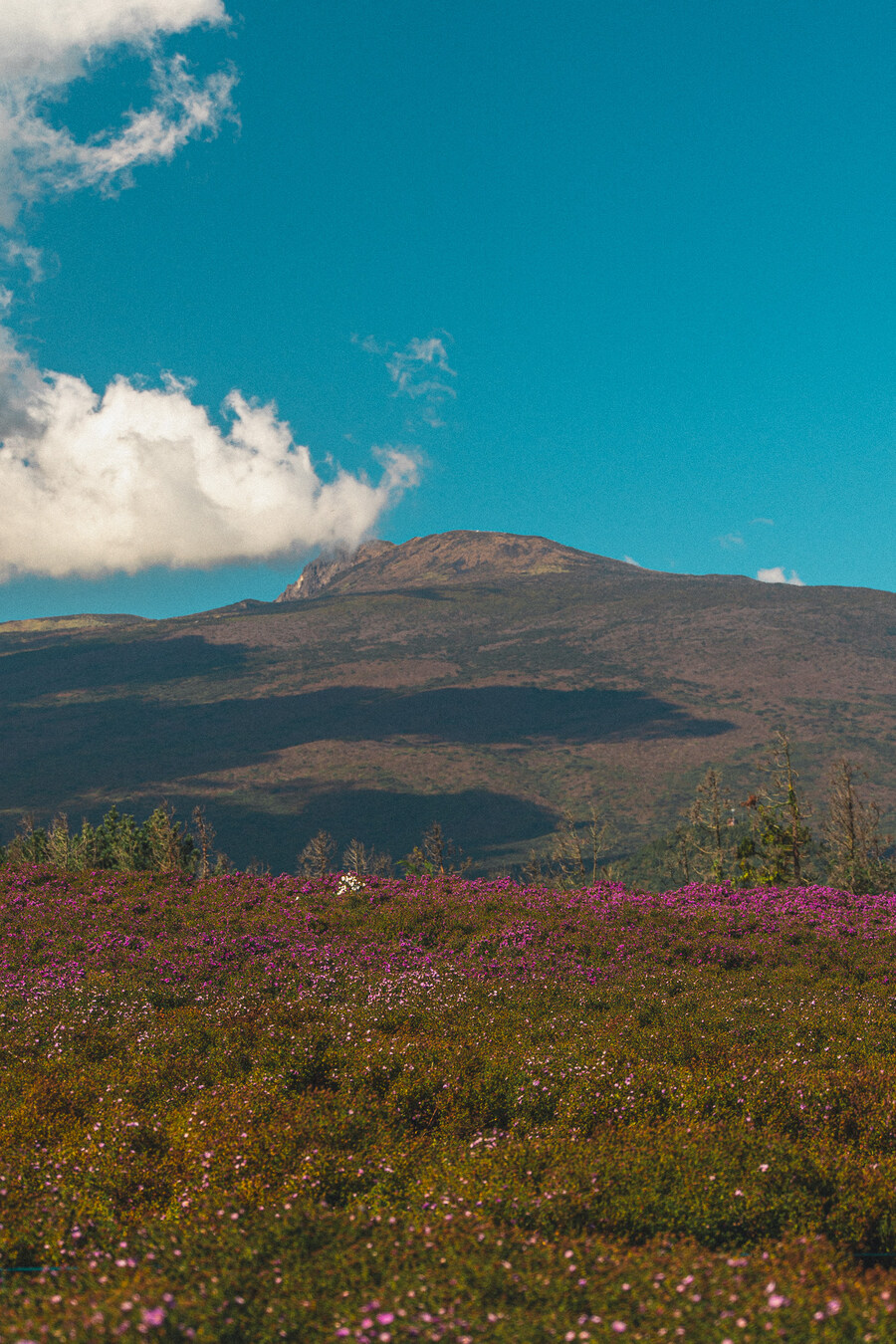 (스압)제주도 댕겨왓습니당_33.jpg