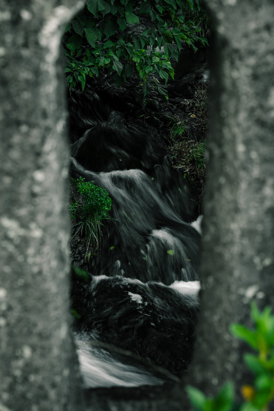 (스압)제주도 댕겨왓습니당_45.jpg