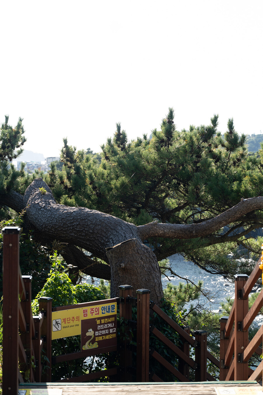 (스압)제주도 댕겨왓습니당_46.jpg