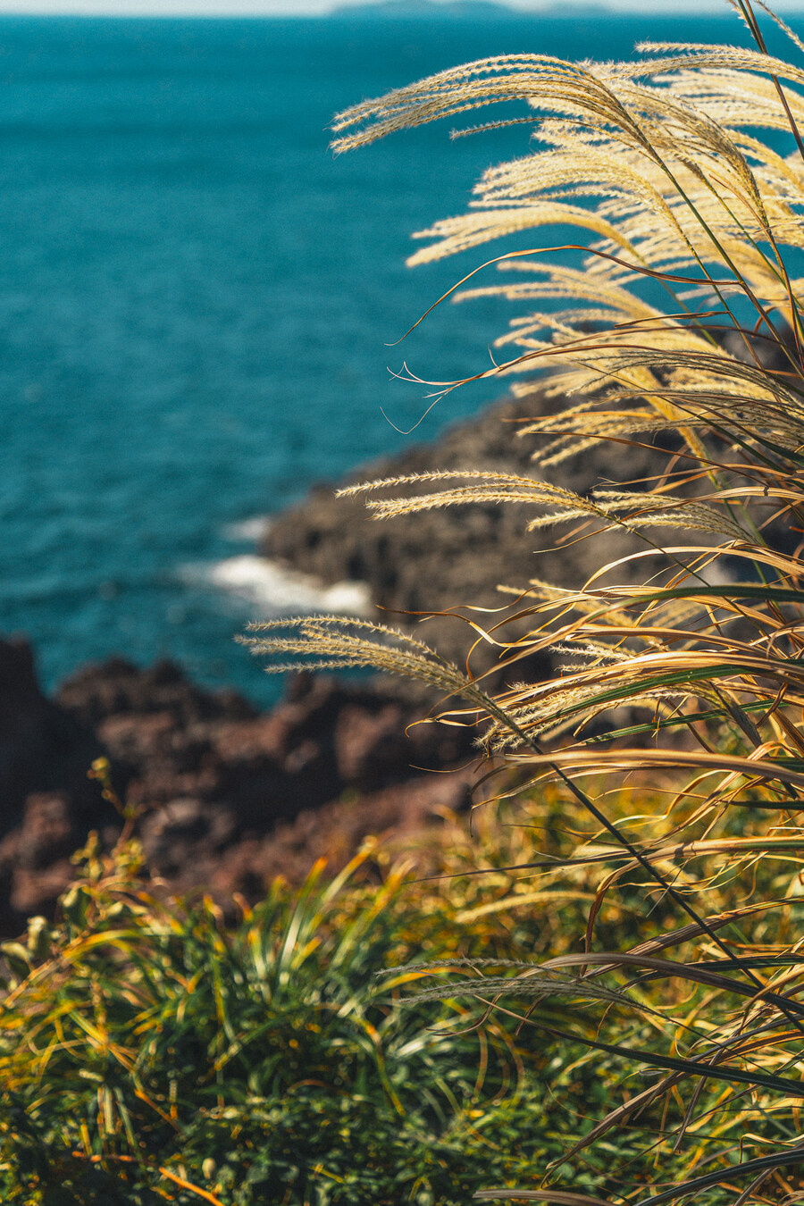 (스압)제주도 댕겨왓습니당_76.jpg