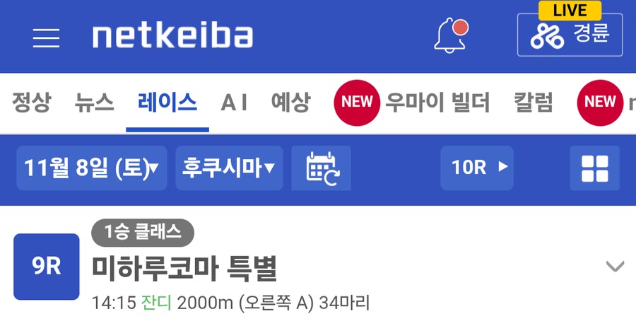 경마, 말딸)과연 얘가 제 2의 이크릴이 될 수 있으려나?_5.png