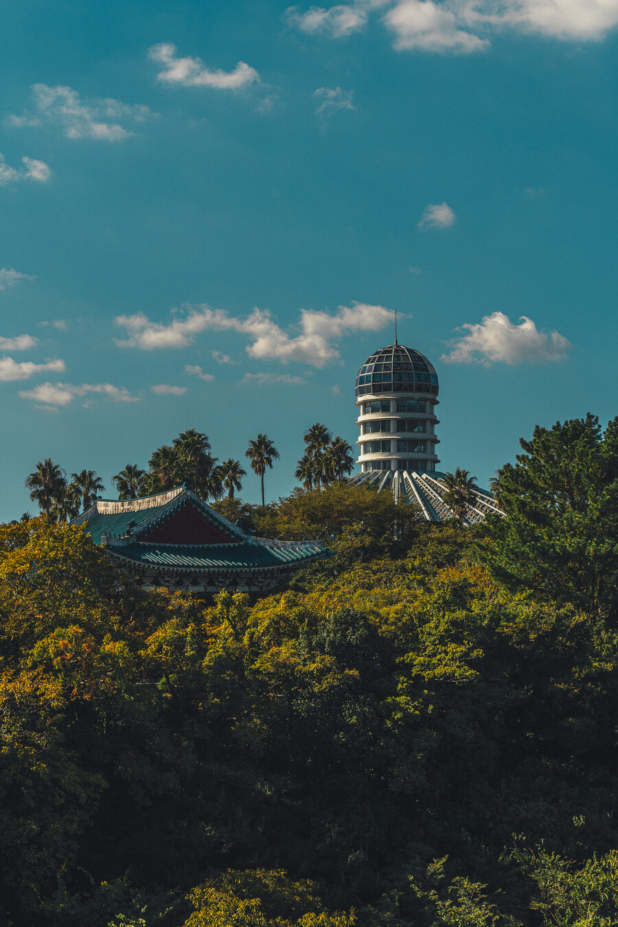 (스압)제주도 댕겨왓습니당_95.jpg