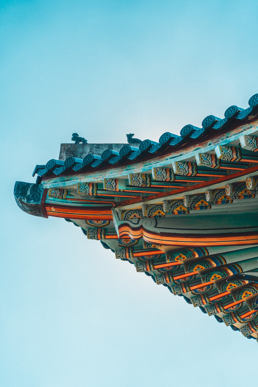 (스압)제주도 댕겨왓습니당_98.jpg