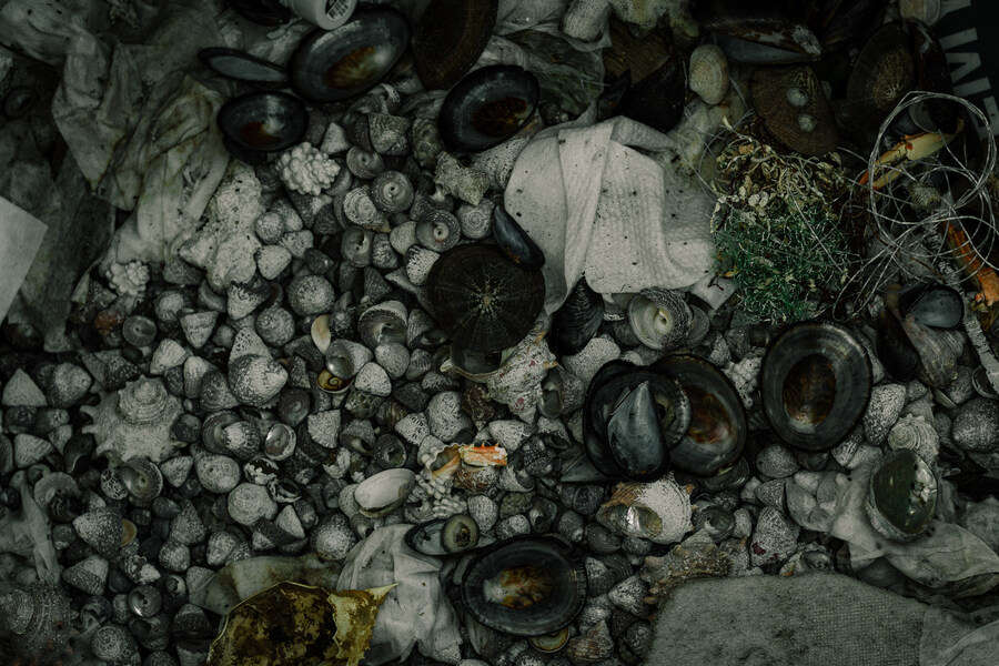 (스압)제주도 댕겨왓습니당_117.jpg