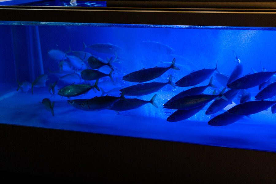 (스압)제주도 댕겨왓습니당_133.jpg