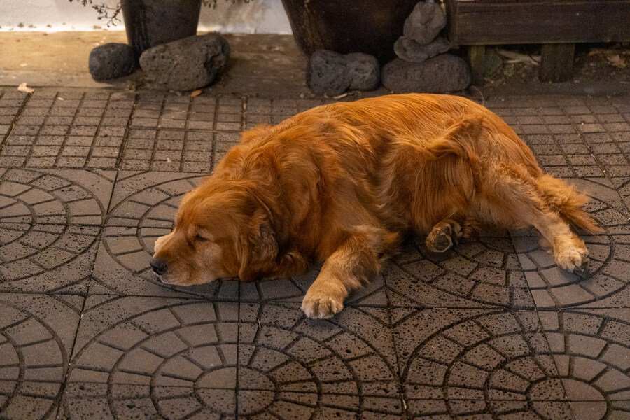 (스압)제주도 댕겨왓습니당_134.jpg