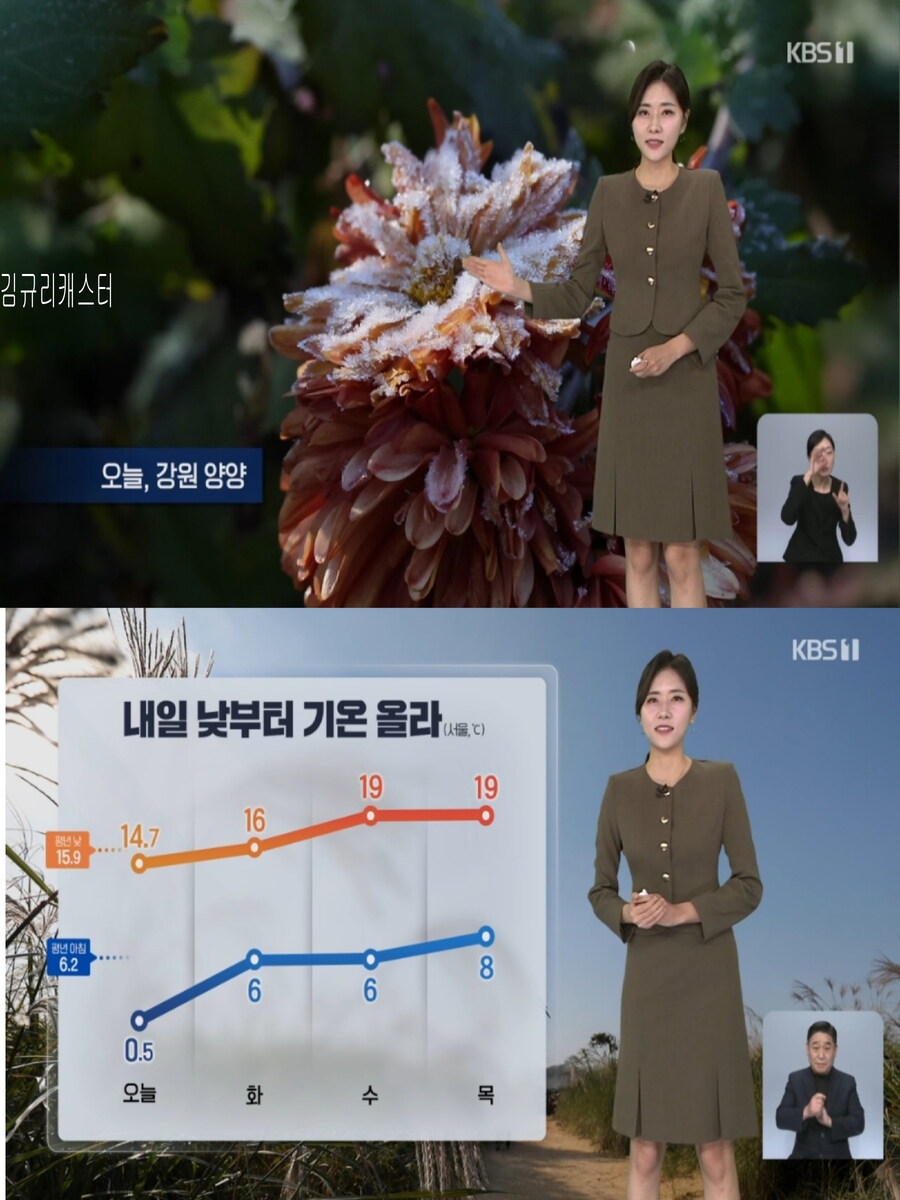 내일, 낮부터 추위 풀려(아침 안개 전망, 큰 일교차 유의)_13.jpg