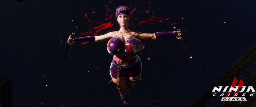 닌자 가이덴2 블랙.jpg_9.png