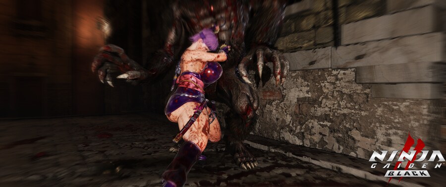 닌자 가이덴2 블랙.jpg_15.png
