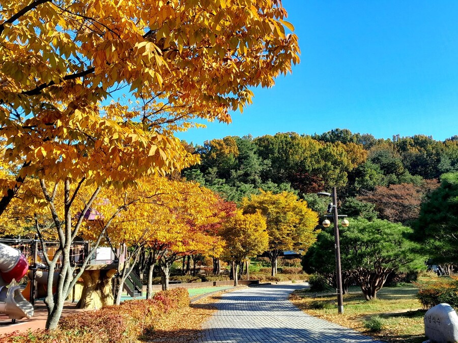 드림랜드를 아시나요?_3.jpg