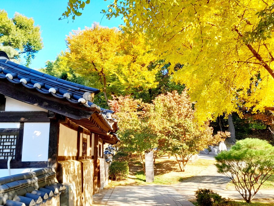 드림랜드를 아시나요?_12.jpg