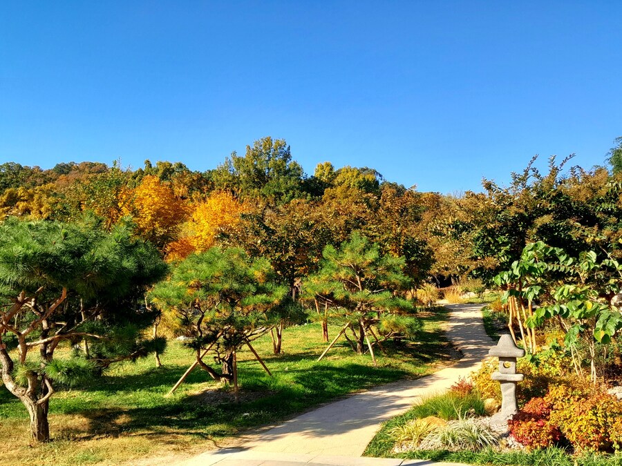 드림랜드를 아시나요?_13.jpg