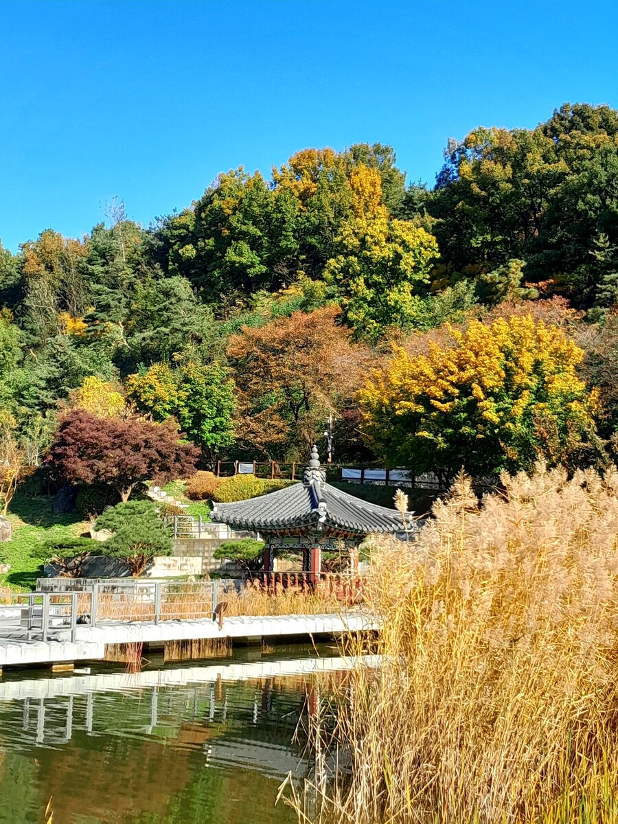 드림랜드를 아시나요?_9.jpg