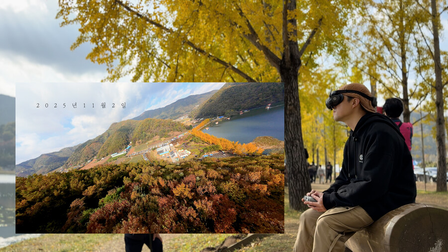 [실시간 단풍] 11월 2일 문광저수지, 은행나무 황금빛 절정 바로 직전!_1.jpg
