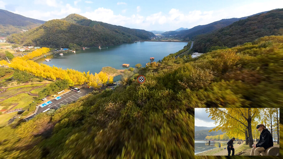 [실시간 단풍] 11월 2일 문광저수지, 은행나무 황금빛 절정 바로 직전!_2.jpg