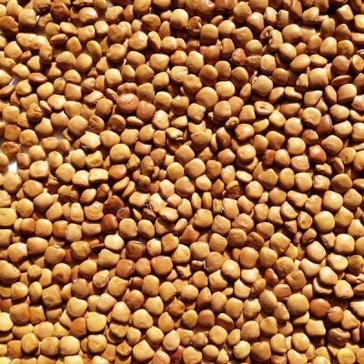 이제껏 살면서 니들이 한번도 못 봤을꺼_1.jpg